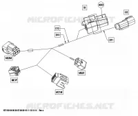 CABLAGGIO ELETTRICO, SEZIONE ANTERIORE
