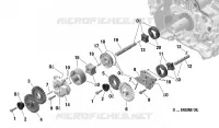 Motore - Lubrificazione - Pompa olio