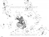 Motore