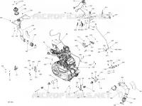 Motore