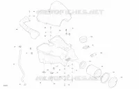 Motore - ADMISSIONE
