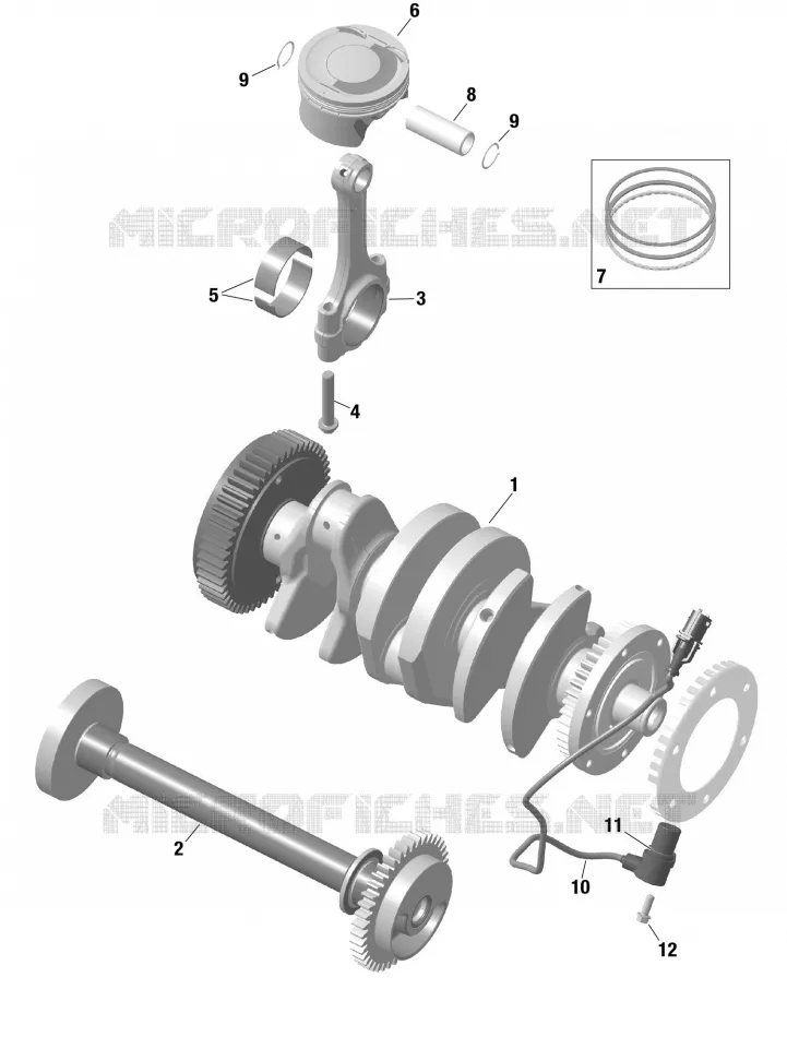 ALBERO MOTORE / PISTONES