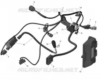 CABLAGGIO E MODULO ELETTRONICO