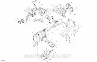 Motore - Scarico