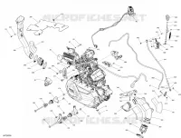 Motore