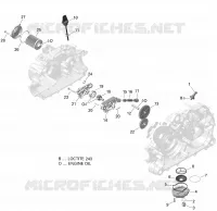 Lubrificazione del motore