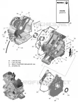 CARTER MOTORE