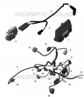 CABLAGGIO E MODULO ELETTRONICO