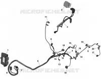 CABLAGGIO e modulo elettronico