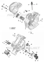 Lubrificazione motore Engine