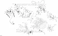 Motore