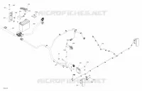 Elettrico - Sistema Posteriore