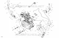 MOTORE