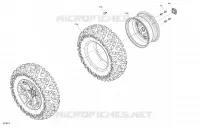 RUOTE ANTERIORIS