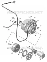 01- ROTAX - MAGNETO AND CABLAGGIO ELETTRICO STARTER