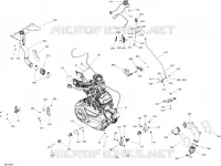 Motore