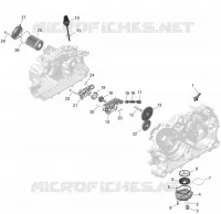 Motore - Lubrificazione