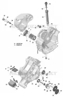 Lubrificazione del motore