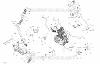 MOTORE