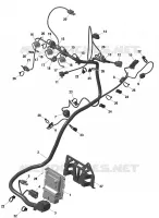 CABLAGGIO e modulo elettronico