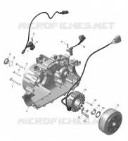 01- ROTAX - MAGNETO AND CABLAGGIO ELETTRICO STARTER