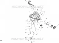 ADMISSIONE