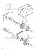Cinghia E Puleggia Del Motore Engine