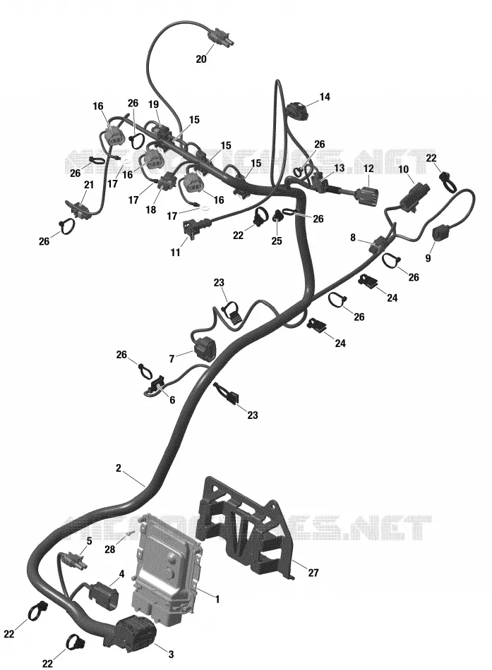 CABLAGGIO e modulo elettronico