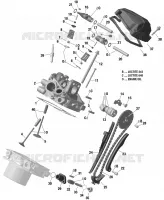 TESTATA POSTERIORE