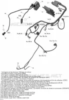 Cablaggio del motore