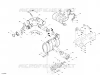 SCARICO