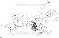 Motore