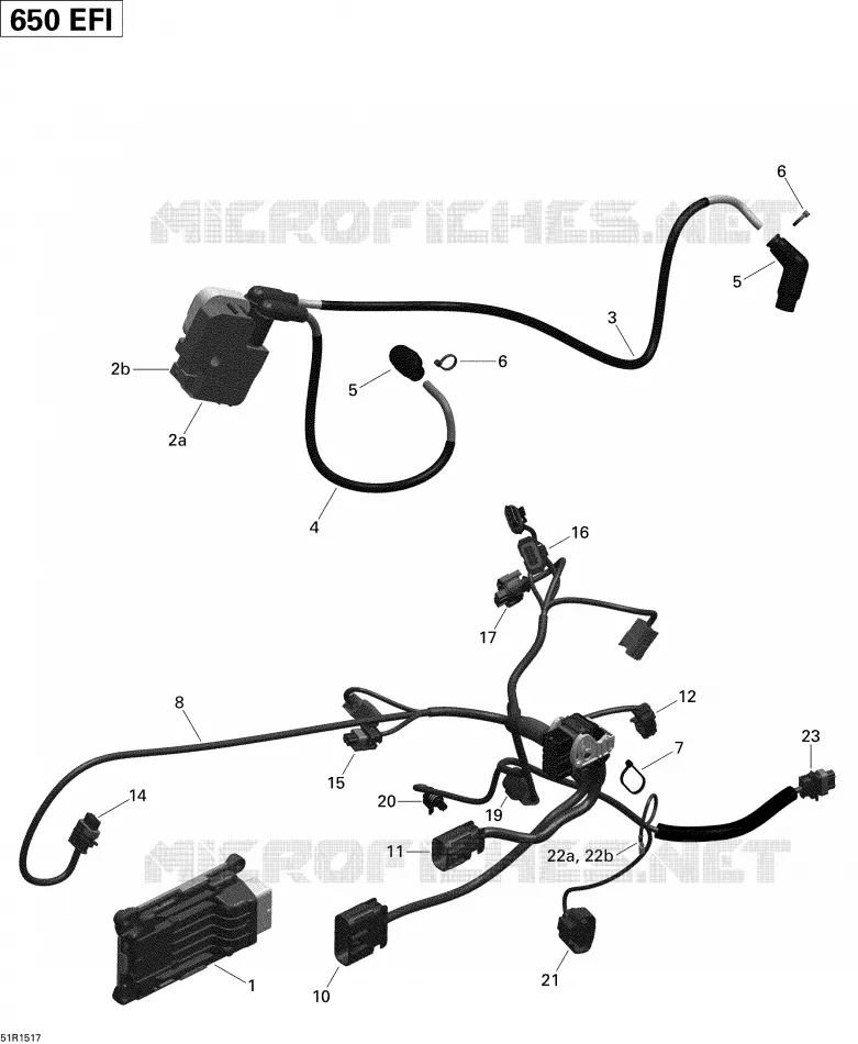 Cablaggio del motore