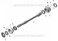 Motore - Albero di trasmissione