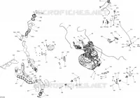 Motore