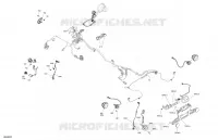 FRECCIA LAMPEGGIATORE