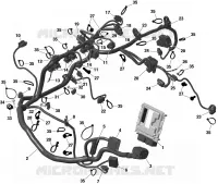 CABLAGGIO E MODULO ELETTRONICO