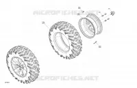 RUOTE ANTERIORIS