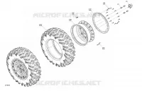 RUOTE ANTERIORIS