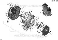 CARTER MOTORE