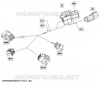 CABLAGGIO ELETTRICO, SEZIONE ANTERIORE