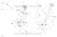 Sterzo