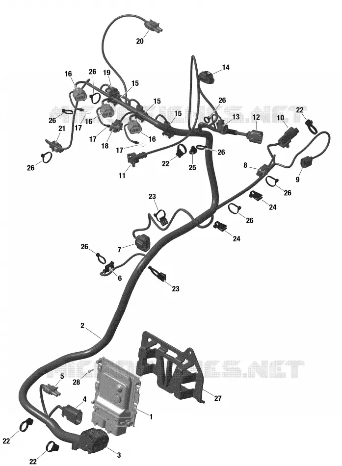 CABLAGGIO e modulo elettronico