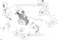 Motore