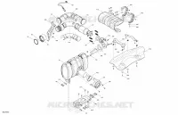Motore - Scarico