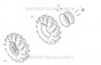 RUOTE ANTERIORIS