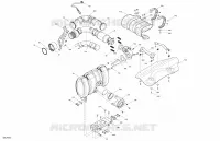 Motore - Scarico