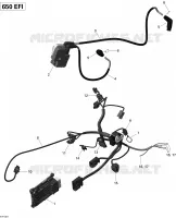 Cablaggio del motore