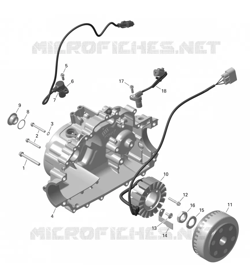 01- ROTAX - MAGNETO AND CABLAGGIO ELETTRICO STARTER