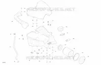 Motore - ADMISSIONE